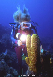 The girldiver is watching and lighting a big tube sponge.... by Alberto Romeo 
